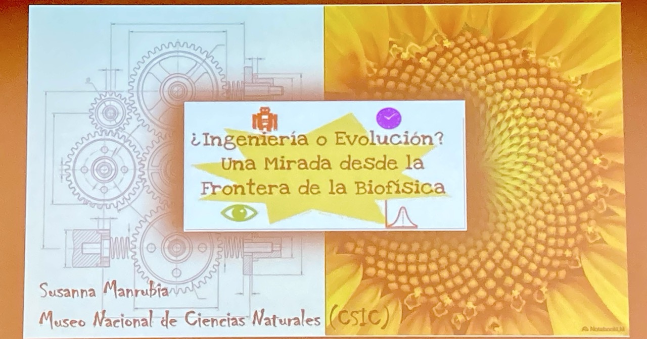 First slide