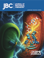 Publication cover