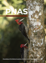 Publication cover
