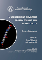 Thesis cover