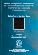 Thesis cover