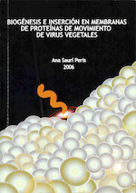 Thesis cover