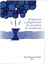 Thesis cover