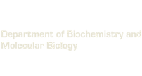 Department of Biochemistry and Molecular Biology